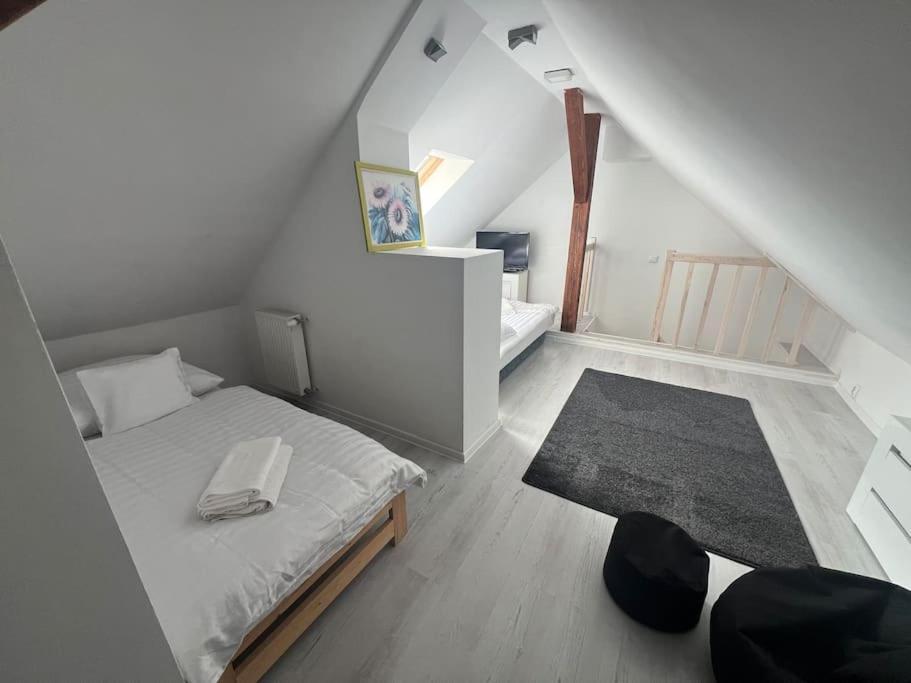 Apartment Attic Close To The And Center *